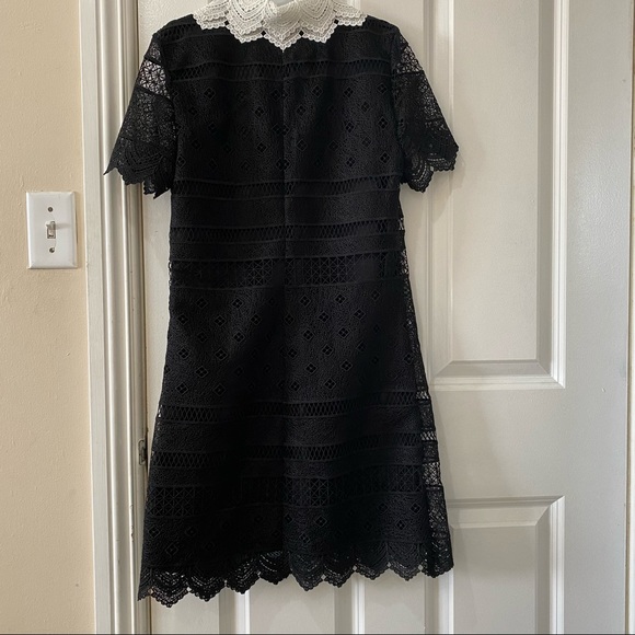 NWT Zara Black Lace Collared Shift A Line Dress XS - Picture 10 of 14